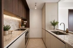 Tembusu Grand (D15), Condominium #570571281